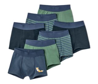 7 Jungen-Slipboxer