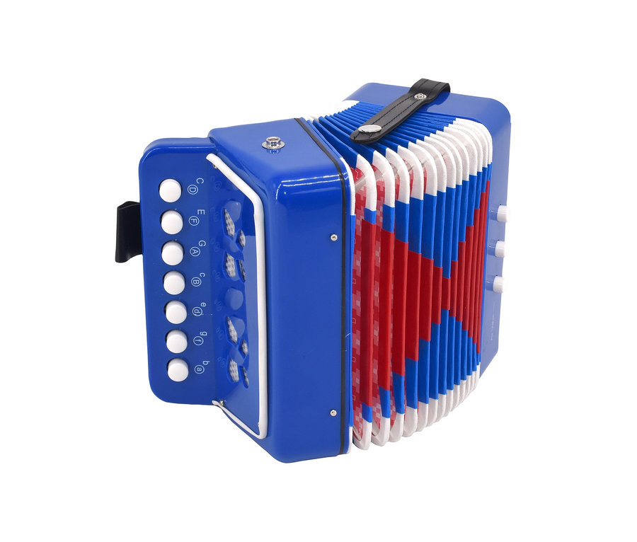 Blaues Voggenreiter Akkordeon.