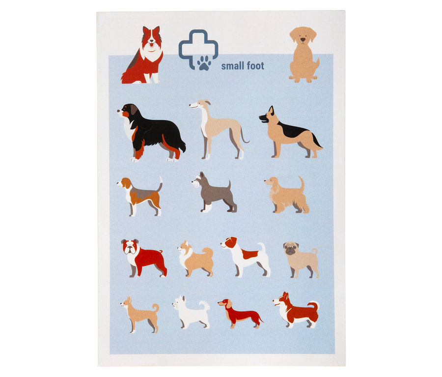 Auf hellblauem Grund sind Illustrationen von Hunden verschiedener Rassen und ein kleines "small foot" Logo abgebildet.