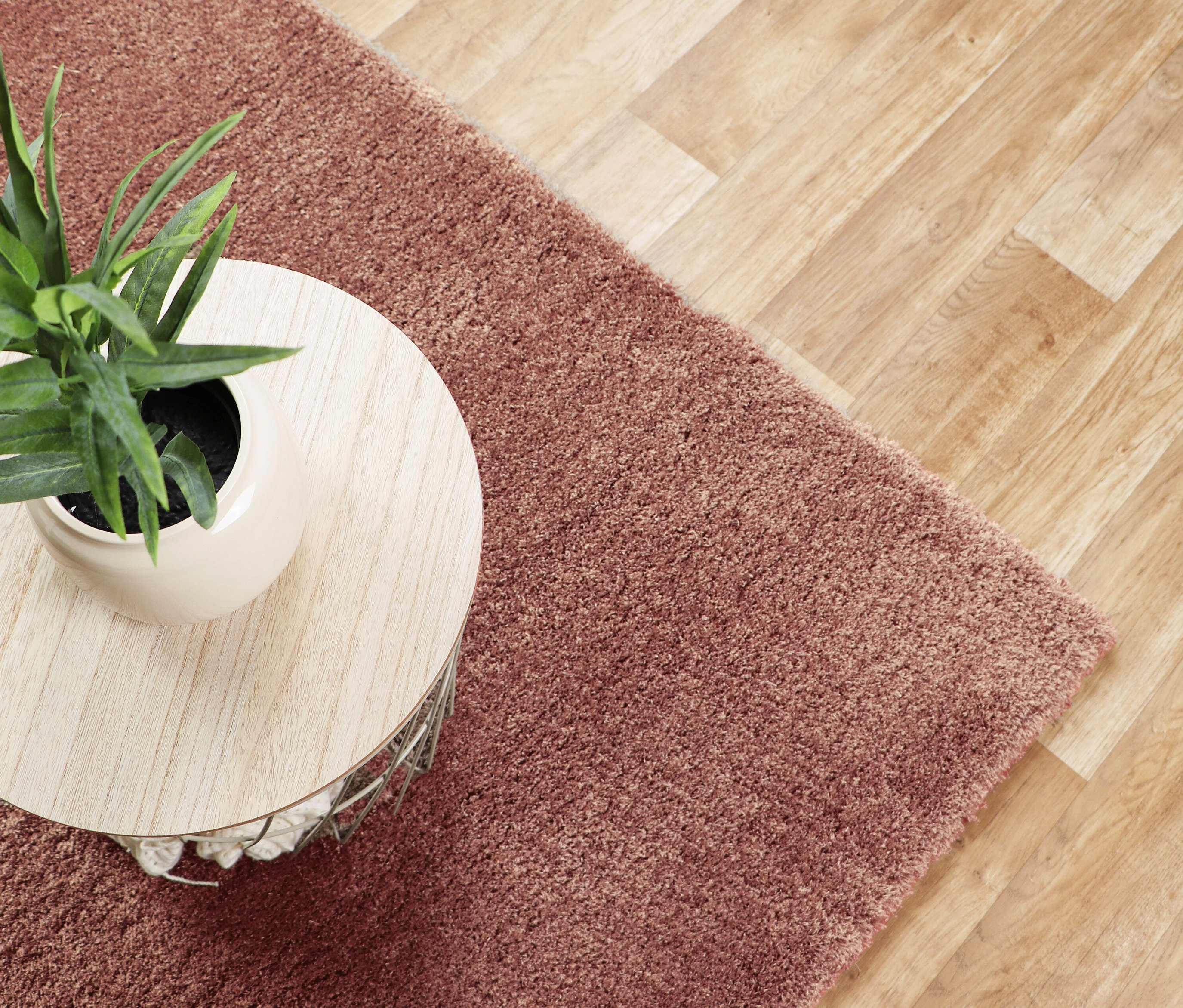 Draufsicht eines kleinen, runden Tisches mit einer Topfpflanze, der auf einem rostfarbenen Teppich »Pleasure« steht.
