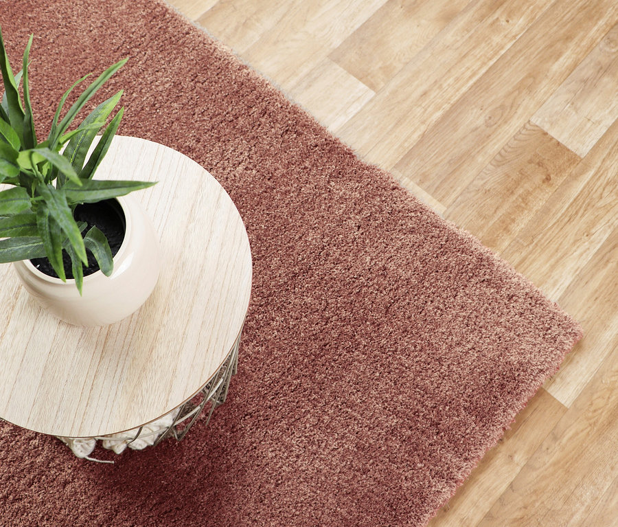 Draufsicht eines kleinen, runden Tisches mit einer Topfpflanze, der auf einem rostfarbenen Teppich »Pleasure« steht.