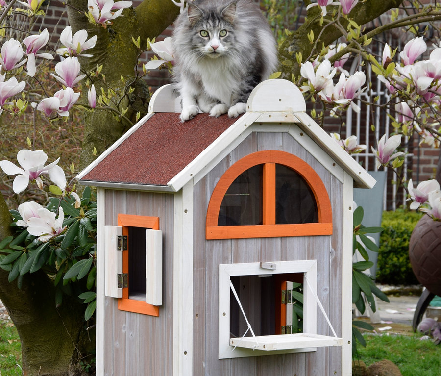Eine graue Katze sitzt auf dem Dach eines zweistöckigen braun-weißen Katzenhauses "Fancy Cat" in einem Garten mit Magnolien.