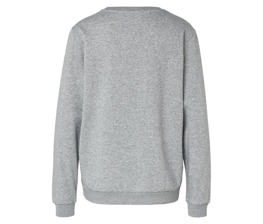 Rückansicht eines grauen Langarm-Sweatshirts.