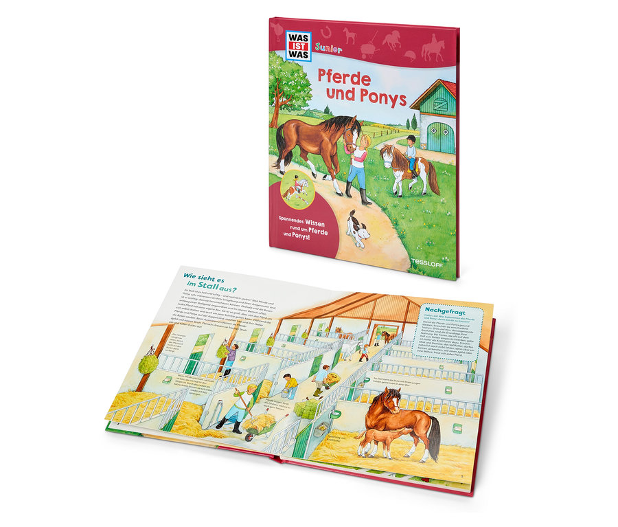 Ein aufgeschlagenes Buch mit Pferde- und Ponyillustrationen und ein zweites Buch mit dem Titel Pferde und Ponys.