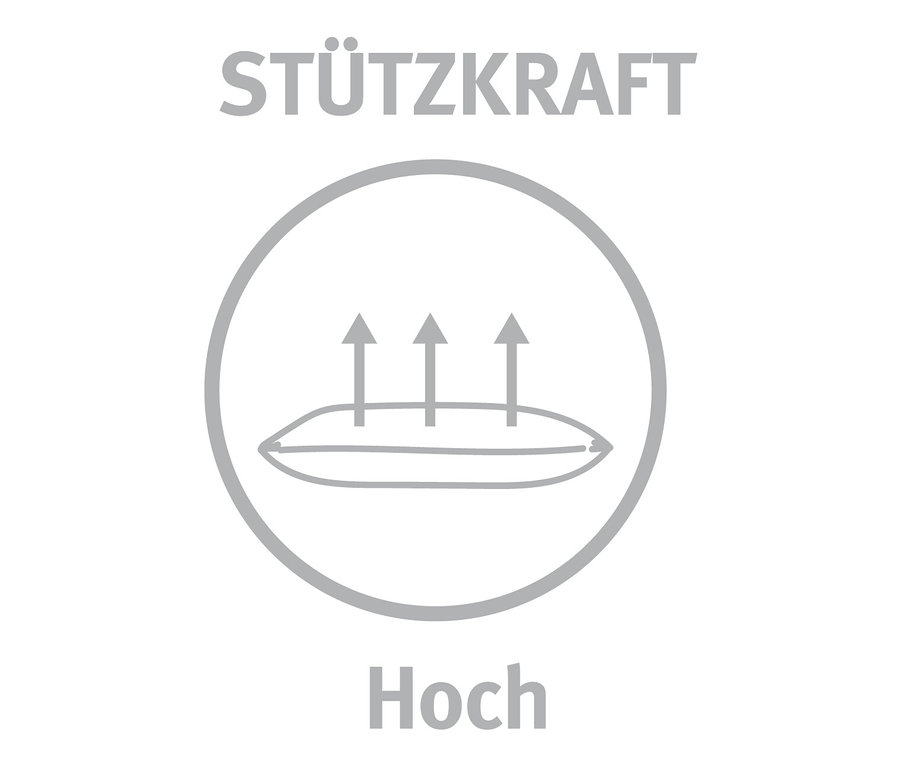 Ein Kissen mit drei Pfeilen nach oben innerhalb eines Kreises, was eine hohe Stützkraft symbolisiert.