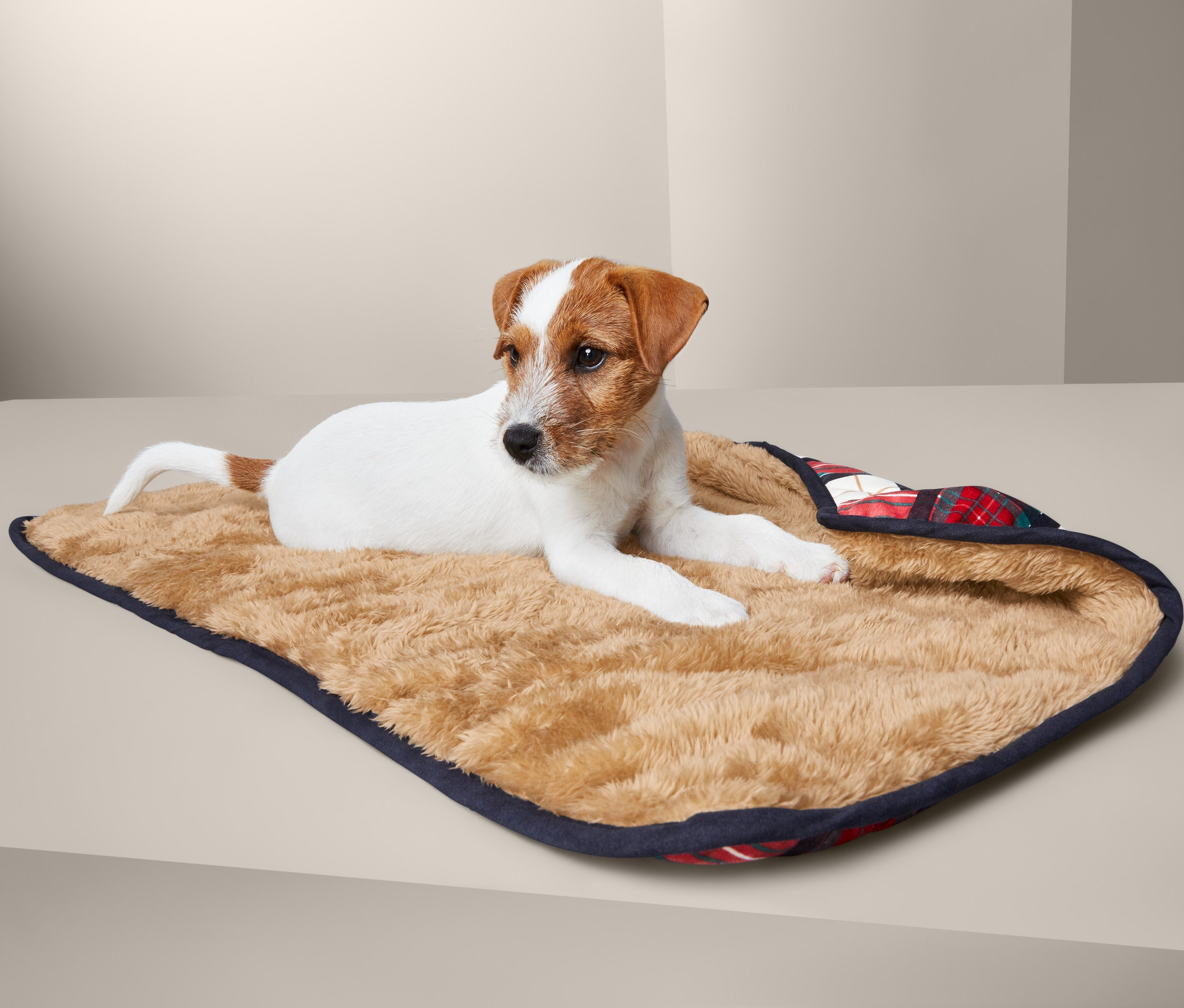 Jack Russell liegt auf einer Hunde-Kuscheldecke.