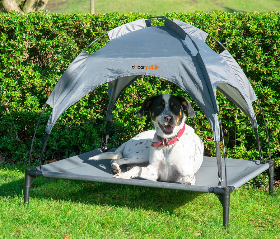 Hund liegt in grauer Outdoor-Hundelounge mit Baldachin auf Gras.