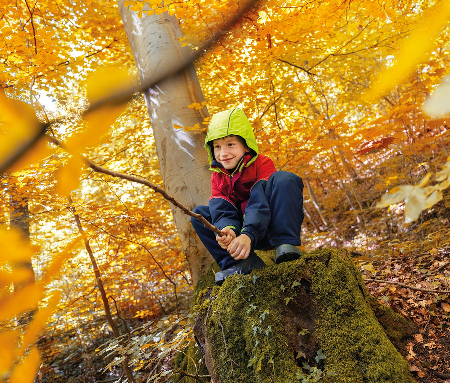 Junge mit grünem Hut sitzt auf einem Baumstumpf im Herbstwald und hält einen Stock.