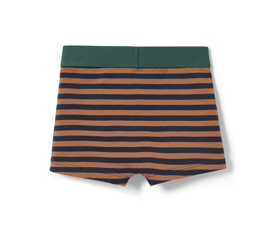 Eine einzelne gestreifte 3 Slipboxer mit dunkelgrünem Bund.