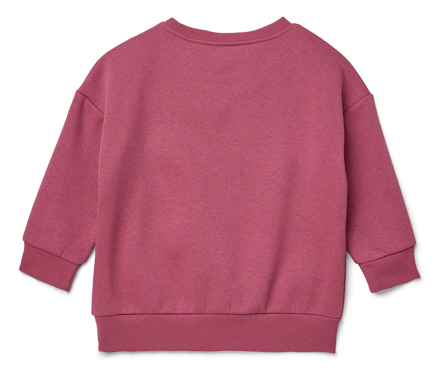 Ein rosafarbenes Langarm-Sweatshirt liegt auf einem weißen Hintergrund.