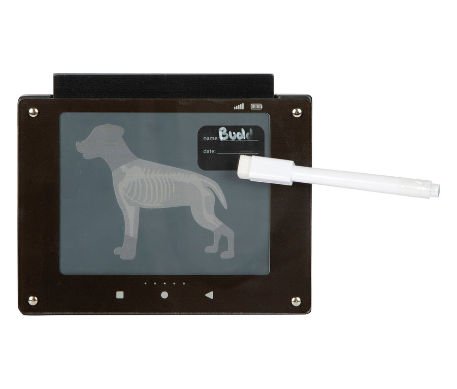 Eine Tierarzt-Tasche mit einem Röntgenbild eines Hundes und einem Stift.