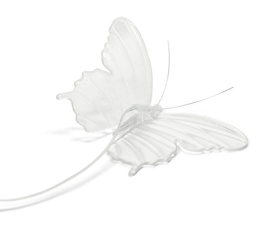 Ein durchsichtiger Schmetterling mit Fühlern und Kabel.