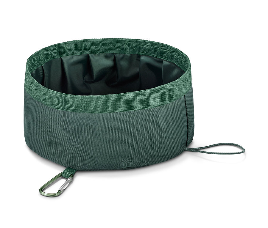 Ein grüner, faltbarer Hundenapf.