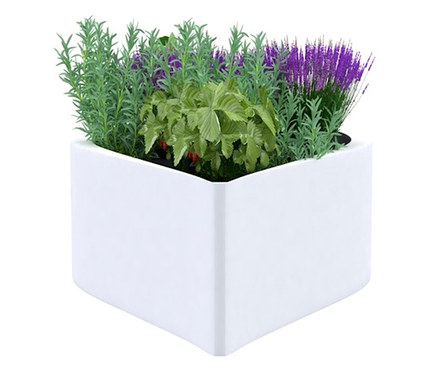 Ein weißes Wings for Living Hochbeet »Amsterdam« Gr. M mit Pflanzen.