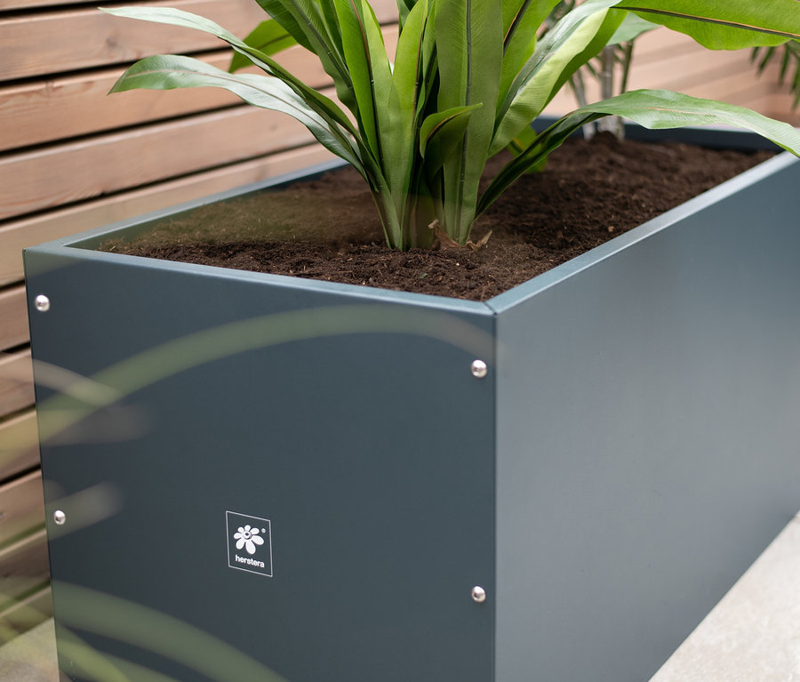 Ein anthrazitfarbener Herstera Garden Pflanzkasten mit Pflanzen.