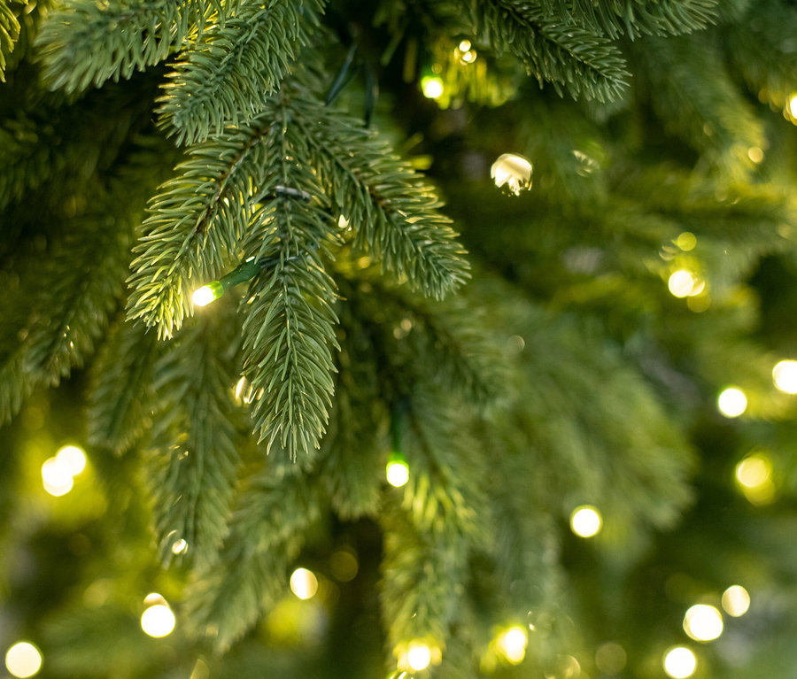 Nahaufnahme eines künstlichen Weihnachtsbaums »Roswell« mit LED-Lichterkette.