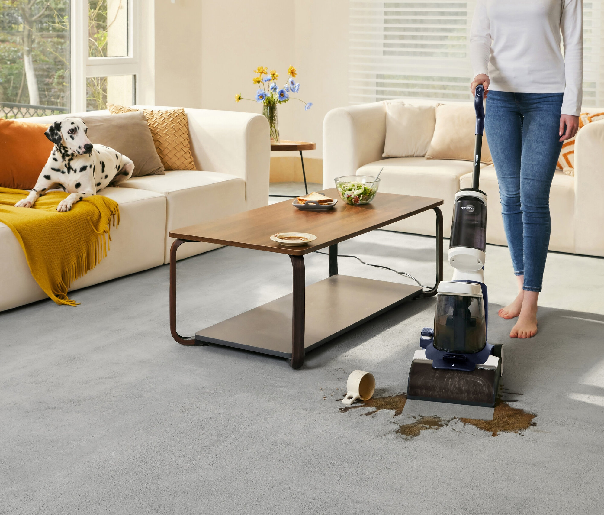 Frau benutzt Tineco Teppichreiniger iCarpet auf einem Fleck auf dem Teppich im Wohnzimmer. Dalmatiner liegt auf dem Sofa.