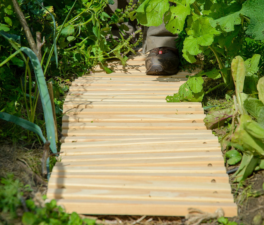 Eine Person geht auf einem Holzpfad durch einen üppigen Garten.