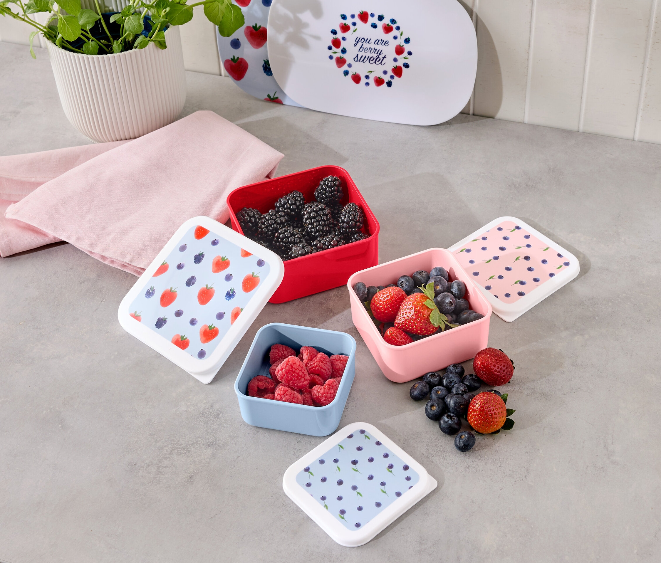 Quadratische 3 Snackdosen gefüllt mit Brombeeren, Himbeeren, Erdbeeren und Blaubeeren.