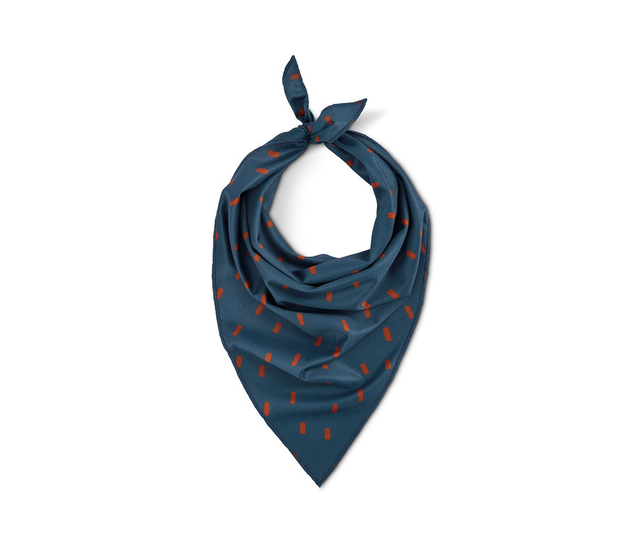 Blaues Hunde-Halstuch mit orangefarbenen Punkten, 2 Stück