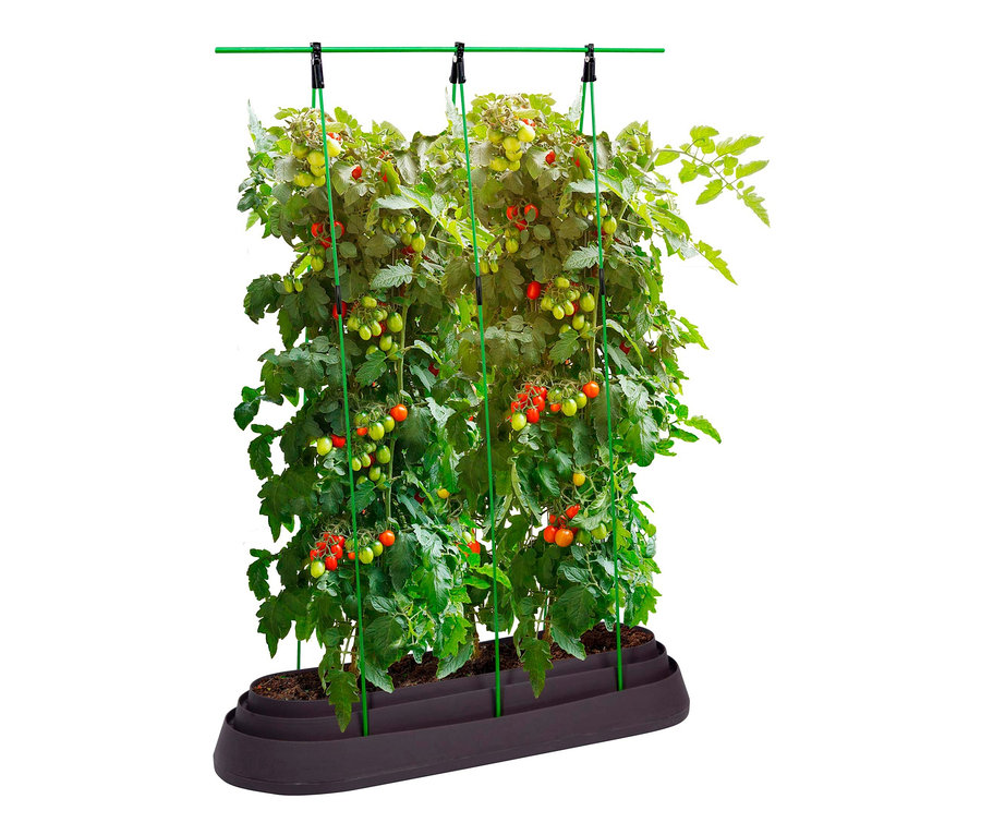 Tomaten und Paprika wachsen im Dobar-Tomaten- und Paprikabeet »Sicilia« mit Stützstruktur.