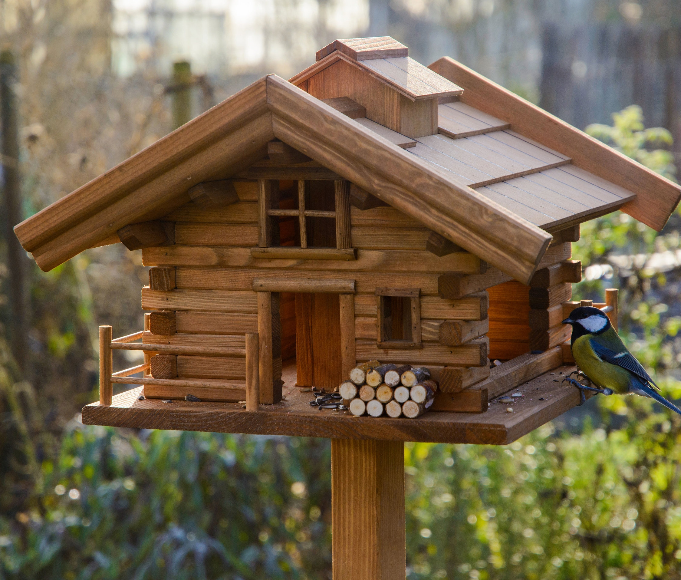 Eine Meise sitzt auf dem Vogelfutterhaus "Tirol".