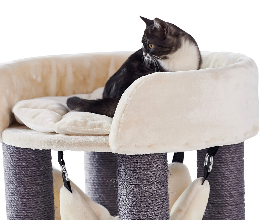 Eine schwarz-weiße Katze liegt auf dem beige Nobby Kratzbaum »ELA«.