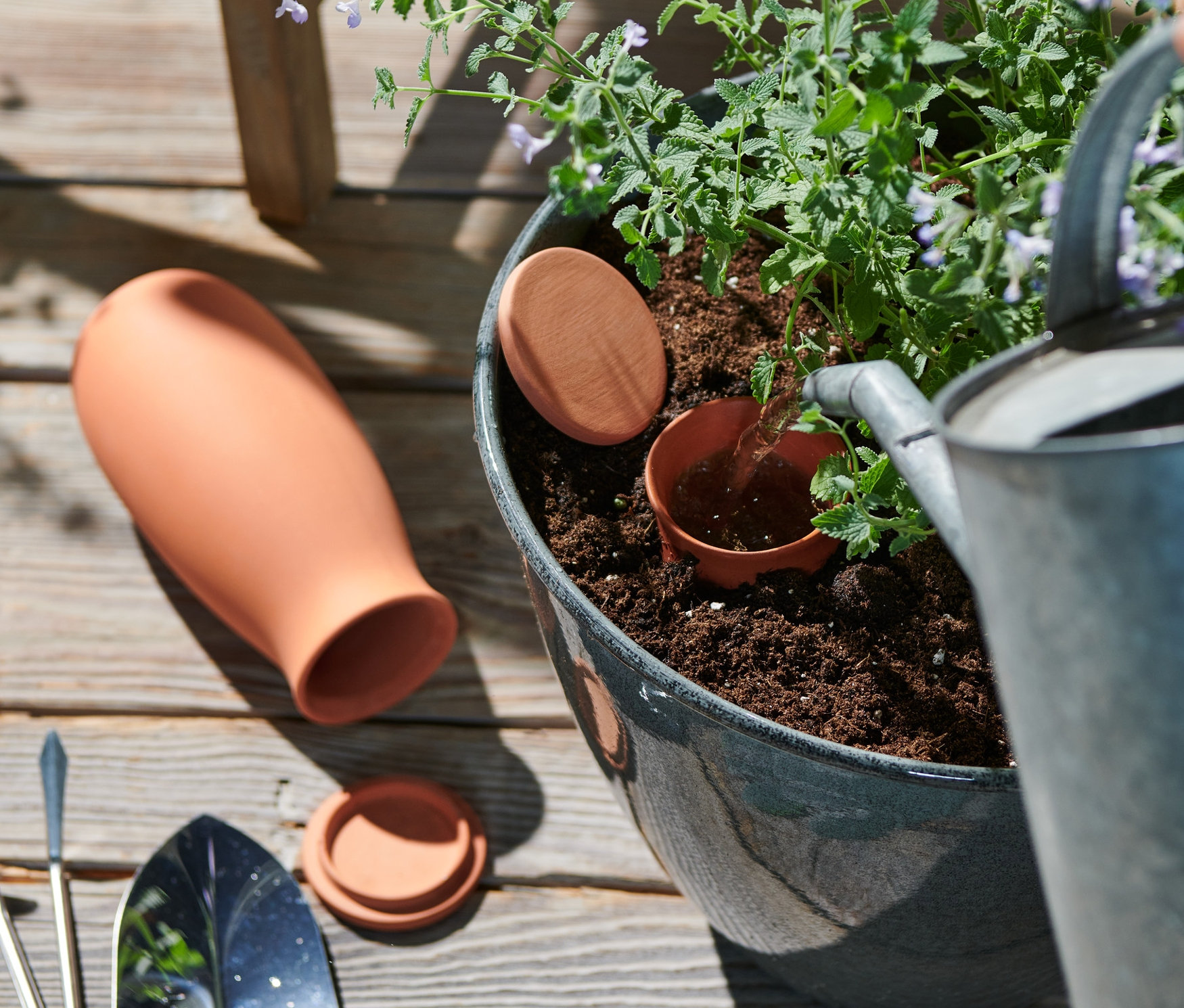 Blumentopf wird mit 2 großen Ton-Bewässerungshelfern gegossen.