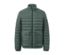 Grüne Steppjacke.