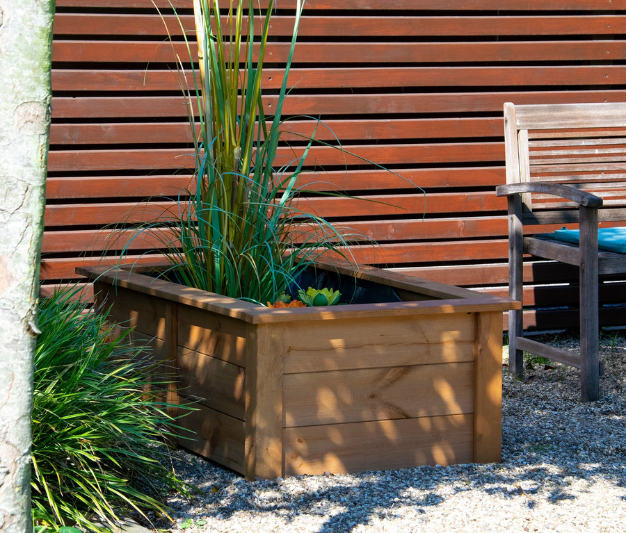 Rechteckiger Hochteich "Kubus", Kiefer mit Pflanzen.