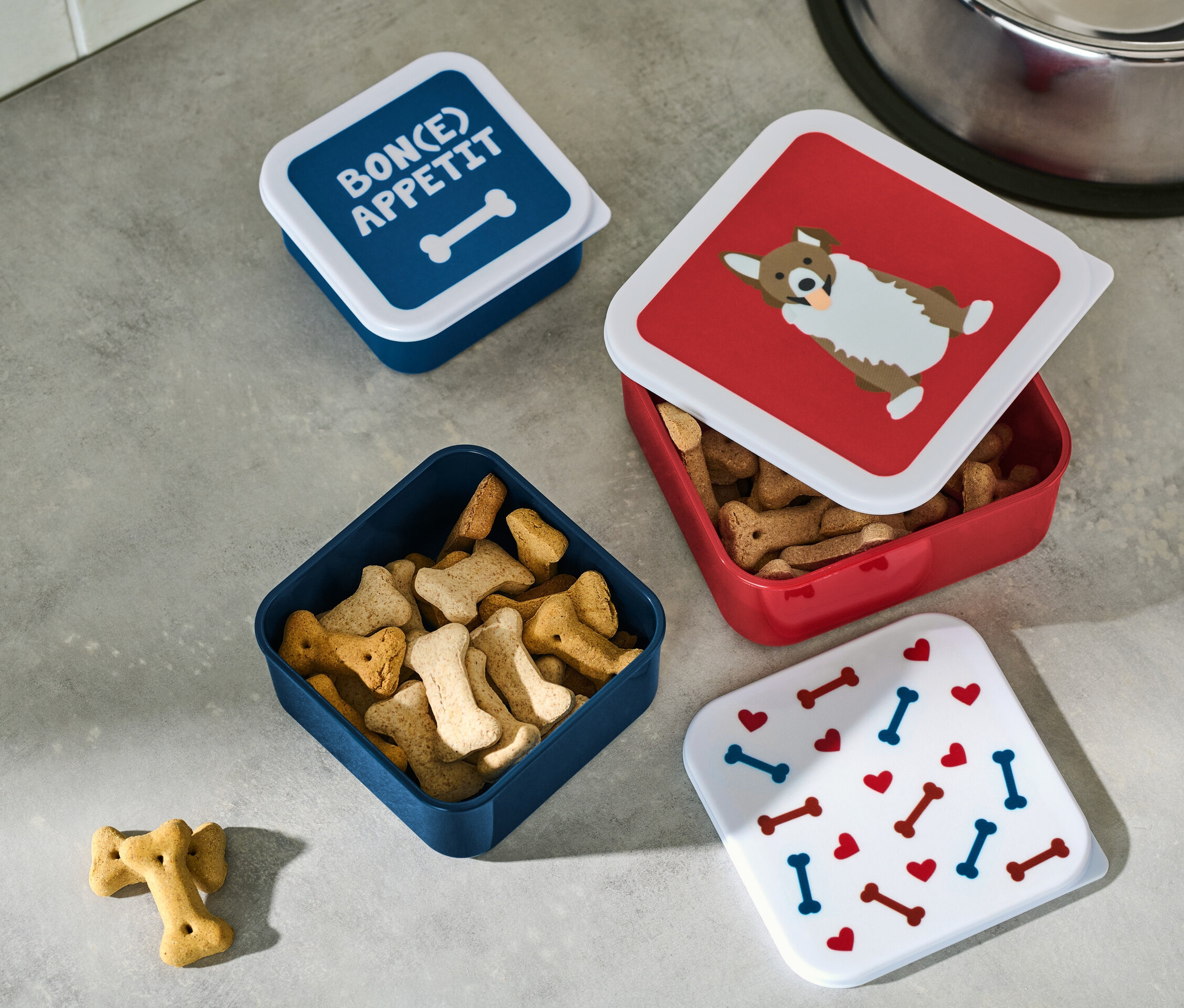 Vier Snackdosen stehen auf einer grauen Oberfläche, eine davon ist offen und mit Snacks gefüllt.