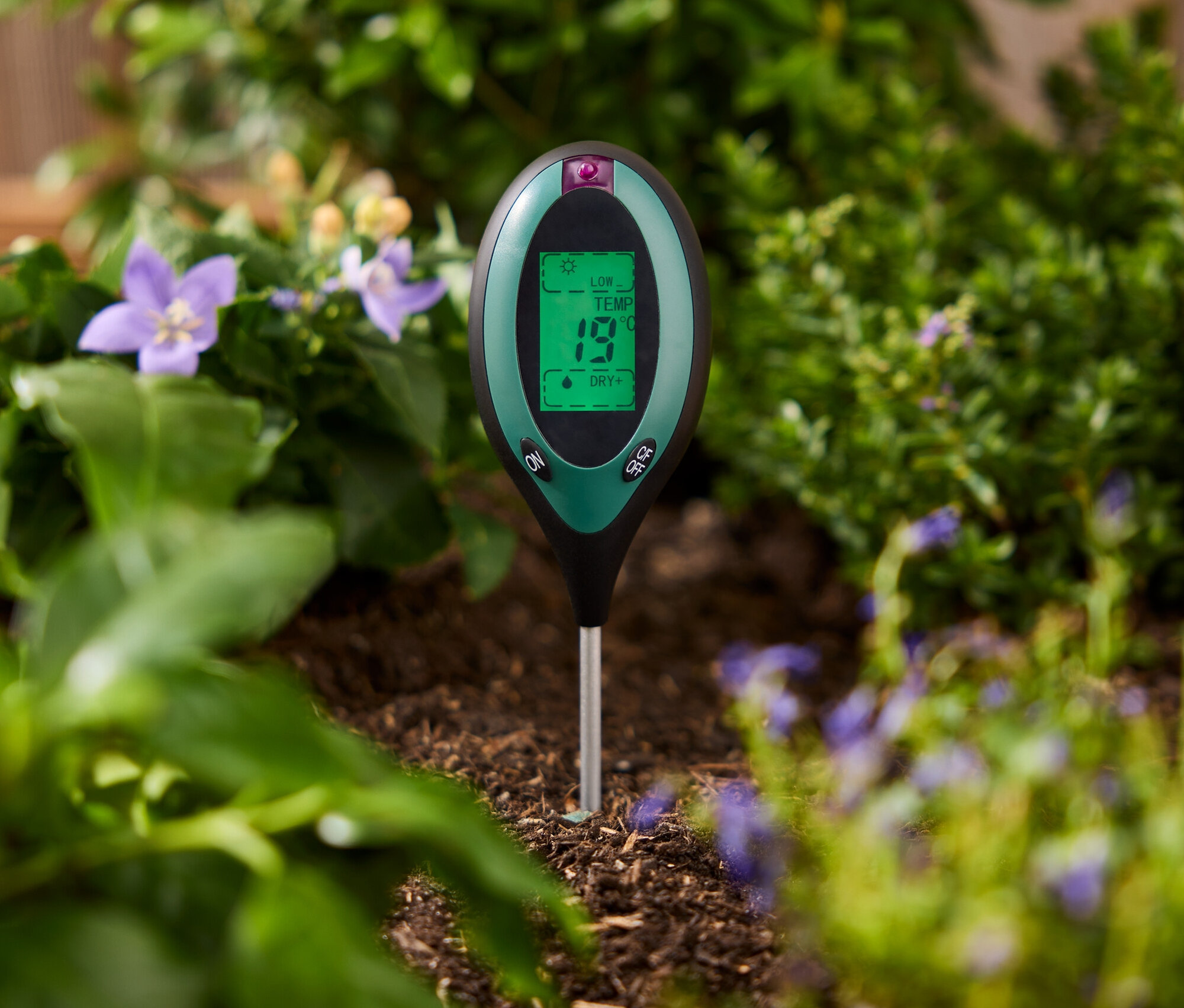 Ein grünes Bodentestgerät steckt im Boden zwischen Pflanzen.