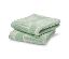 2 Handtücher »Muschel«, grün - /img/gQwWvwRO/64/image.jpeg