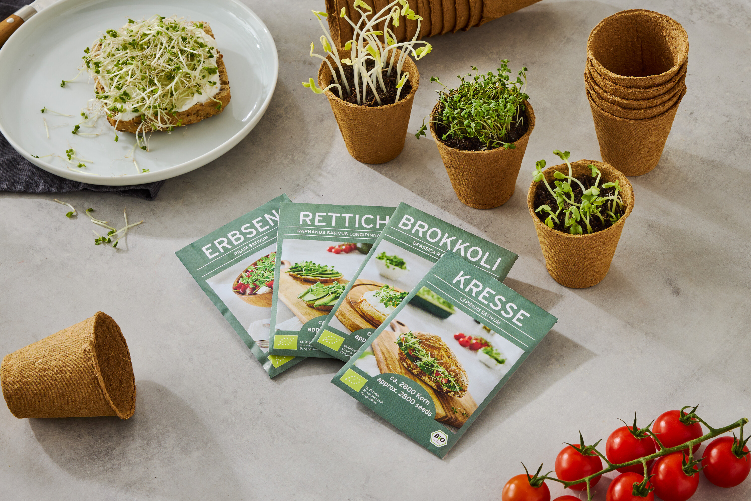 Ein Teller mit einem mit Sprossen belegten Brot, zusammen mit vier Samentüten (Erbsen, Rettich, Brokkoli, Kresse), kleinen Töpfen mit wachsenden Sprossen und einer Rispe Tomaten.