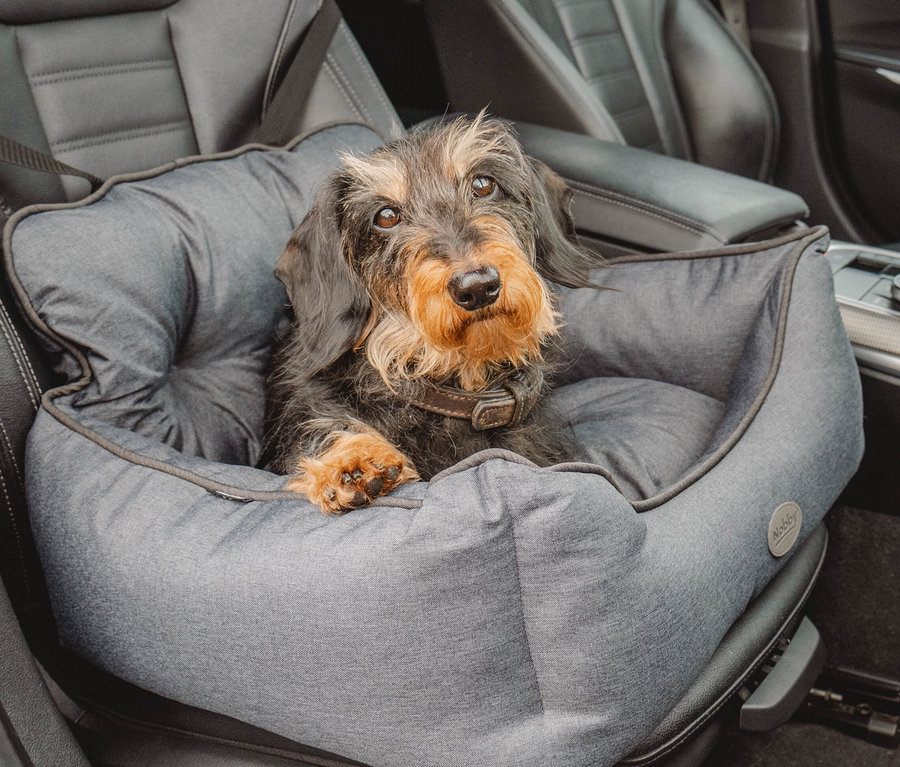 Ein brauner Dackel sitzt in einem grauen Hunde-Autositz "KADEK" auf einem Autositz.