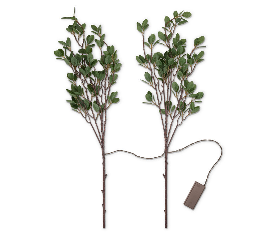 Zwei Zweige mit kleinen grünen Blättern, die durch ein Kabel mit einem Batteriegehäuse verbunden sind.