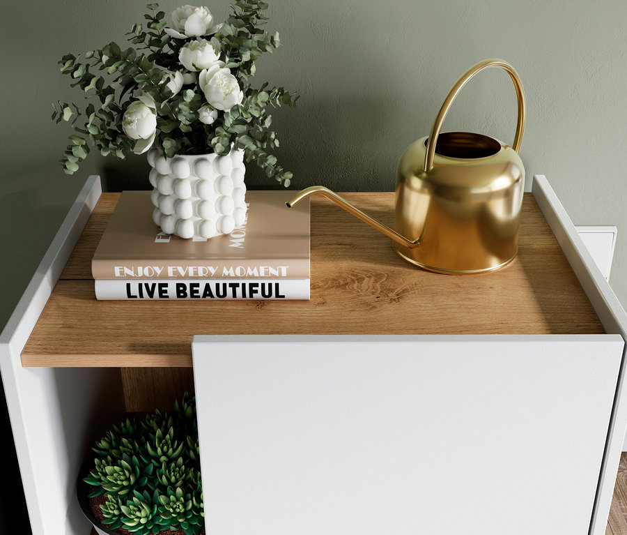 Auf der Oberseite des Schranks stehen eine Blumenvase, zwei Bücher und eine goldene Gießkanne.