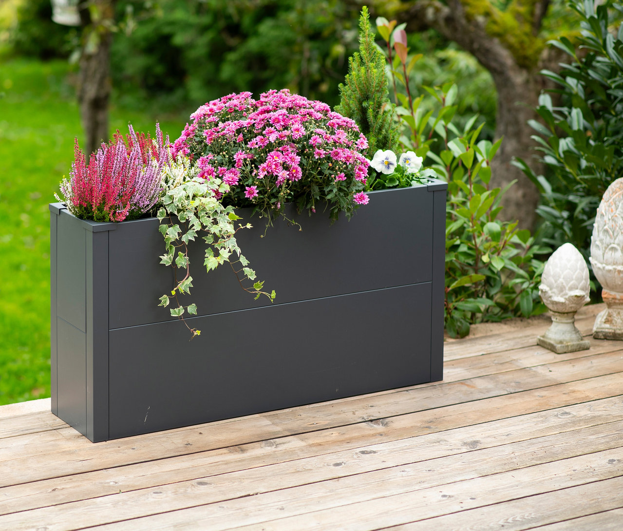 Anthrazitfarbener Pflanzkasten mit Einlegeboden, Höhe ca. 52cm, bepflanzt mit rosa Chrysanthemen, Erika und Efeu auf einer Holzterrasse.