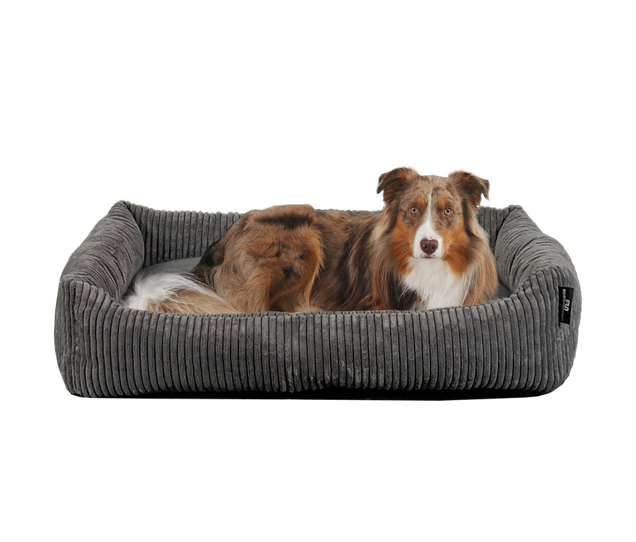 Ein brauner Hund liegt in einem grauen Kuschelsofa "Goliat".