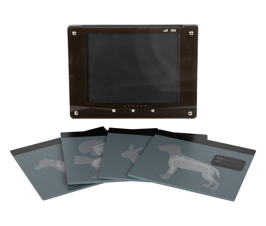 Bildschirm und vier Karten mit Tierzeichnungen, darunter eine mit einem Hasen aus der small foot Tierarzt-Tasche.