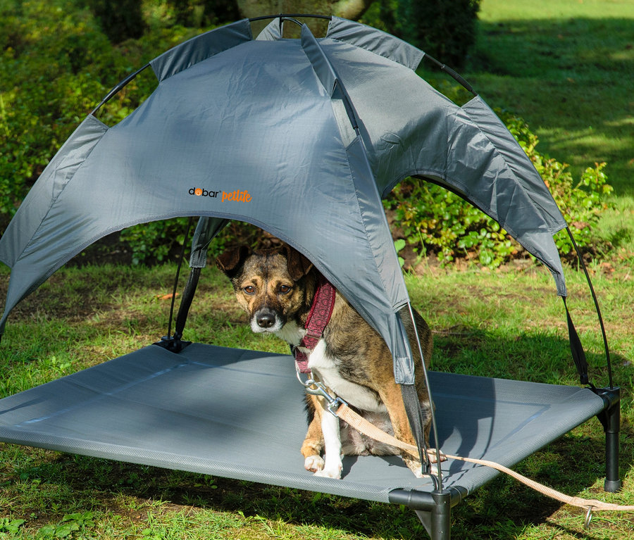 Ein Hund sitzt in einer grauen Outdoor-Hundelounge.