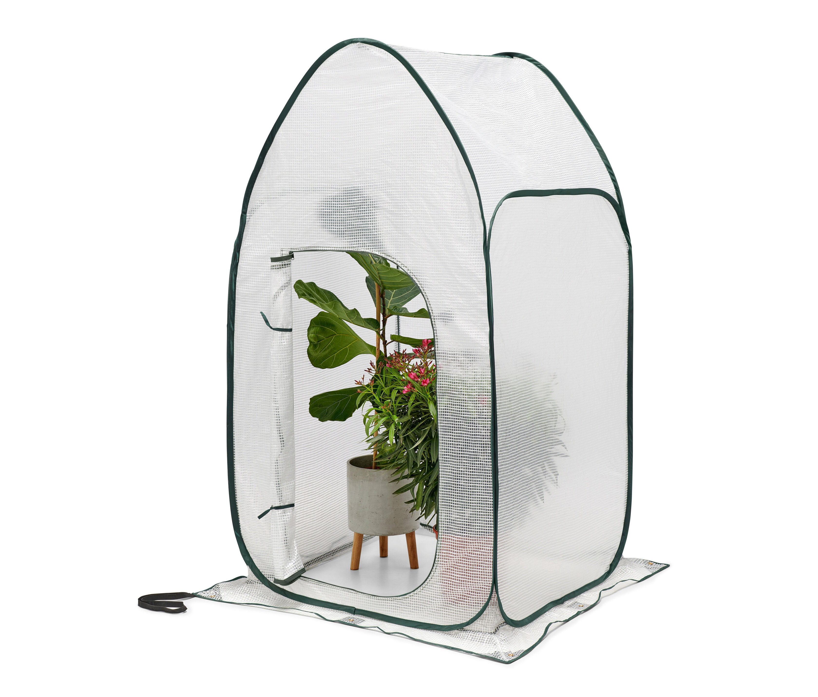 Ein hohes Pop-up-Pflanzenschutz-Zelt mit Pflanzen im Inneren.