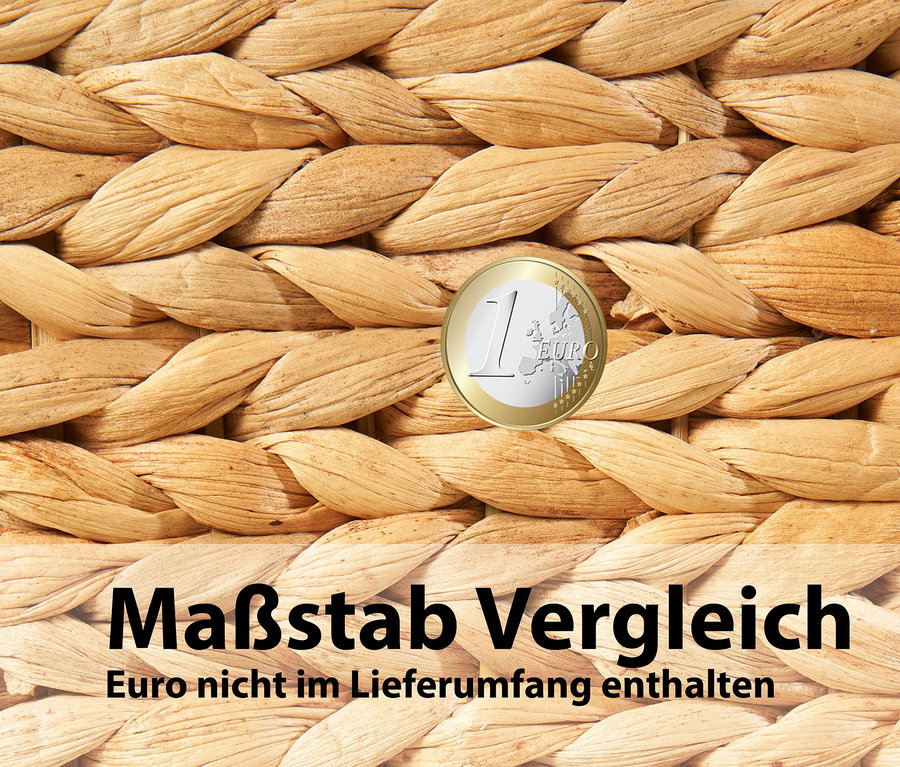 Nahaufnahme eines beigen 3er-Pflanzkastens (ca. 77 x 28 x 28 cm) mit einer Euromünze als Größenvergleich.