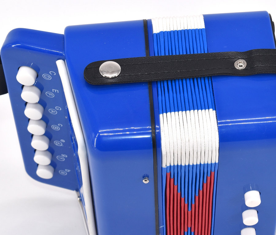 Detailaufnahme eines blauen Voggenreiter Akkordeons.