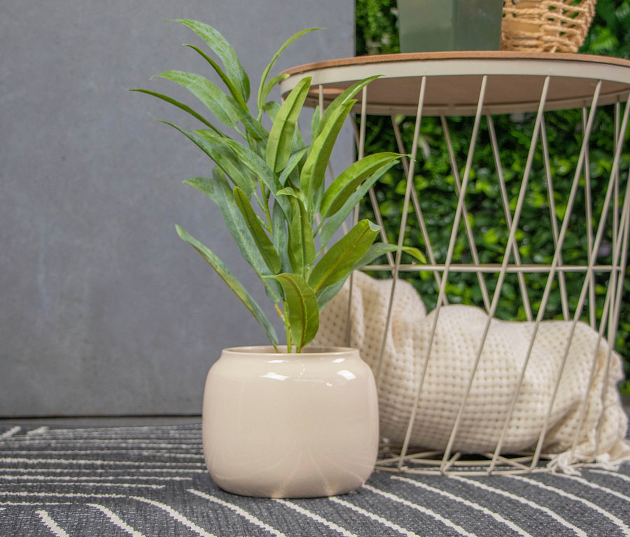 Eine grüne Pflanze in einem beigen Topf steht auf einem gestreiften Teppich neben einem Beistelltisch.