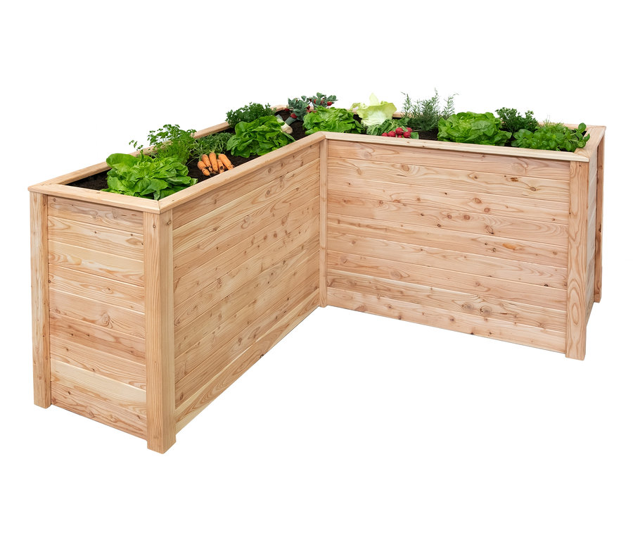 L-förmiges Hochbeet aus Lärchenholz mit Bepflanzung.