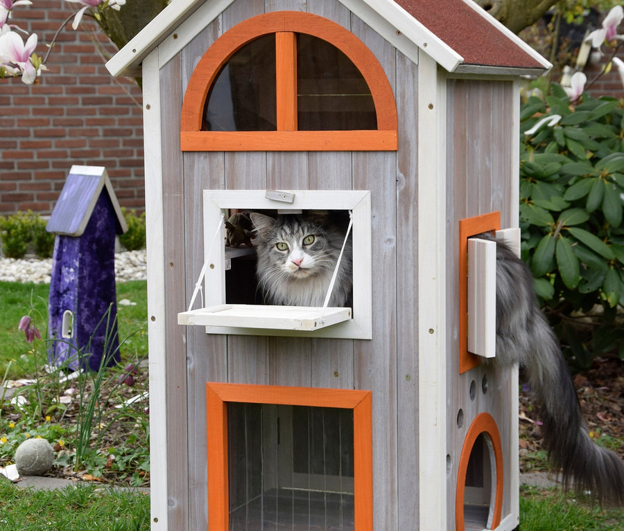Graue Katze schaut aus dem Fenster eines hölzernen Katzenhauses „Fancy Cat“ mit orangefarbenen Rahmen im Gras.
