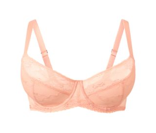 Apricot