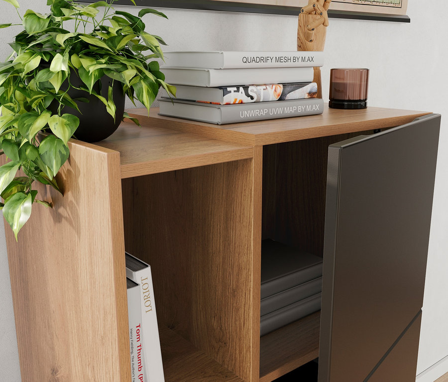 Detailaufnahme eines Regals mit Topfpflanze, Büchern und einem teilweise geöffneten kleinen Aktenschrank »Olvera«.