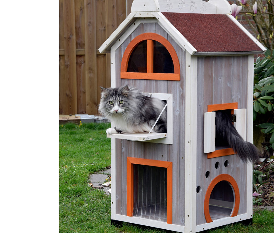 Eine graue Katze sitzt im Fenster des Katzenhauses "Fancy Cat".